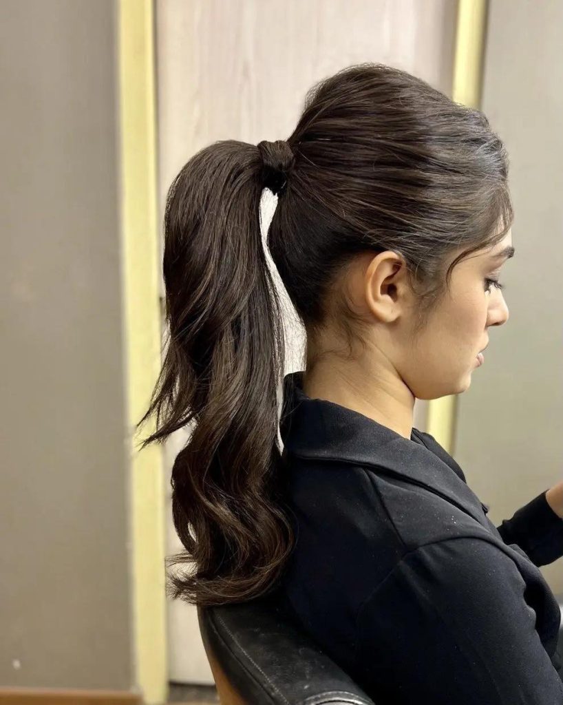 Pony Style Hairstyle